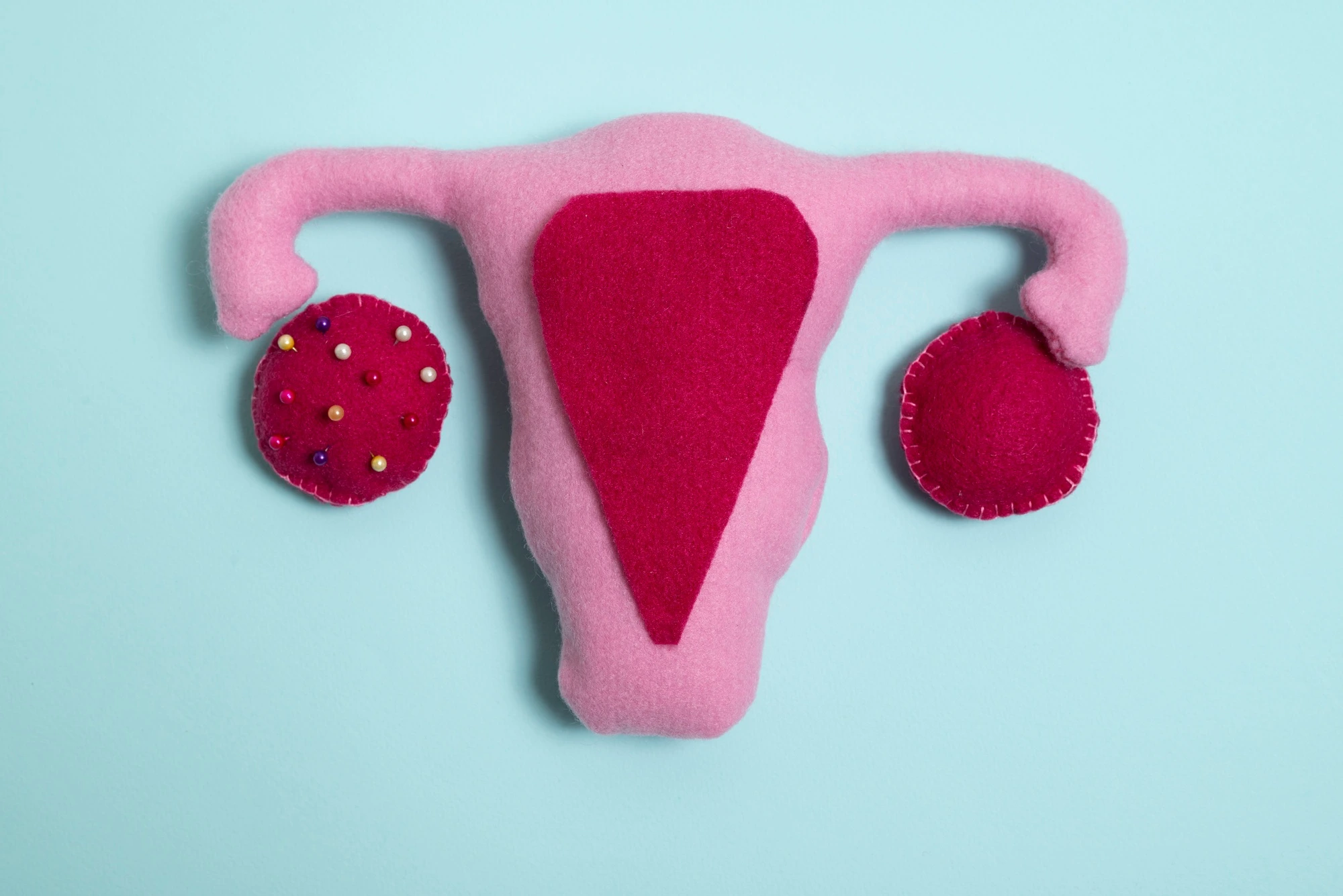 Fallopian Tube Blockage